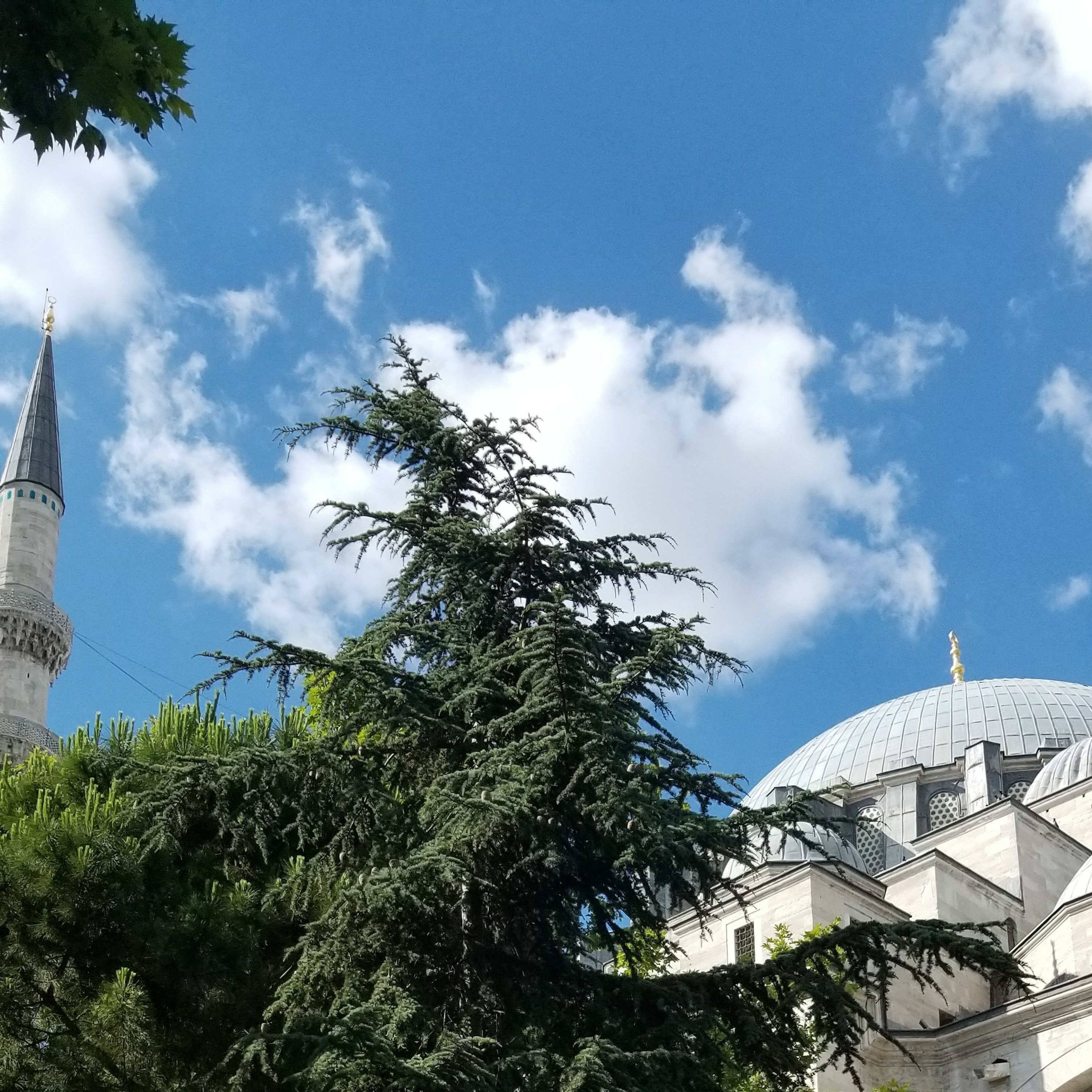Hamzah wald Maqbul