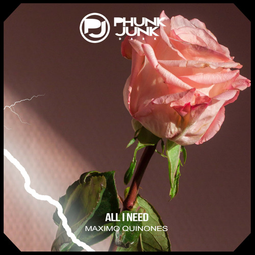 Maximo Quinones - All I Need (Original Mix)