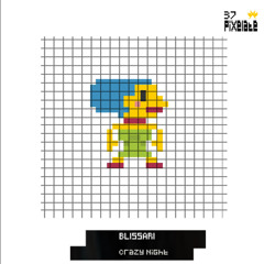 Blissari - Crazy Night (PIXELATE37)
