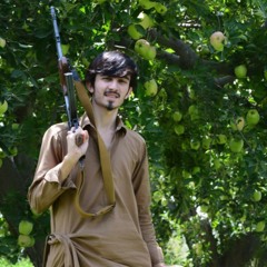 Wali Darman new pashto tapy ⚔