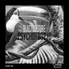 Blastculture - Imperfect Solution (Original Mix)