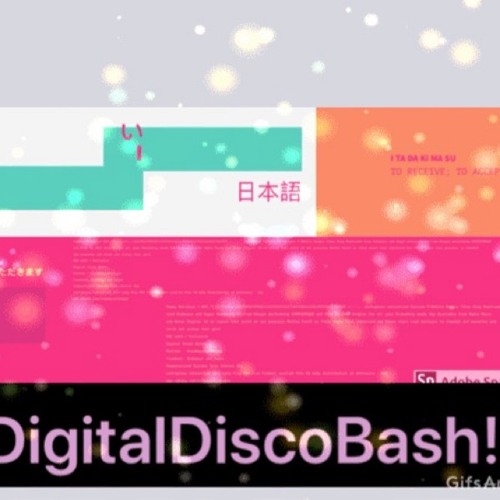 Digital Disco Bash! Records  at Casa De Oro, California