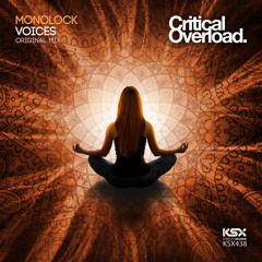 KSX438/S : Monolock - Voices (Extended & Original Mixes) TEASER