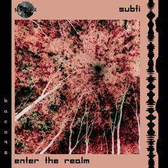 SubFi - Enter The Realm (Original Mix)