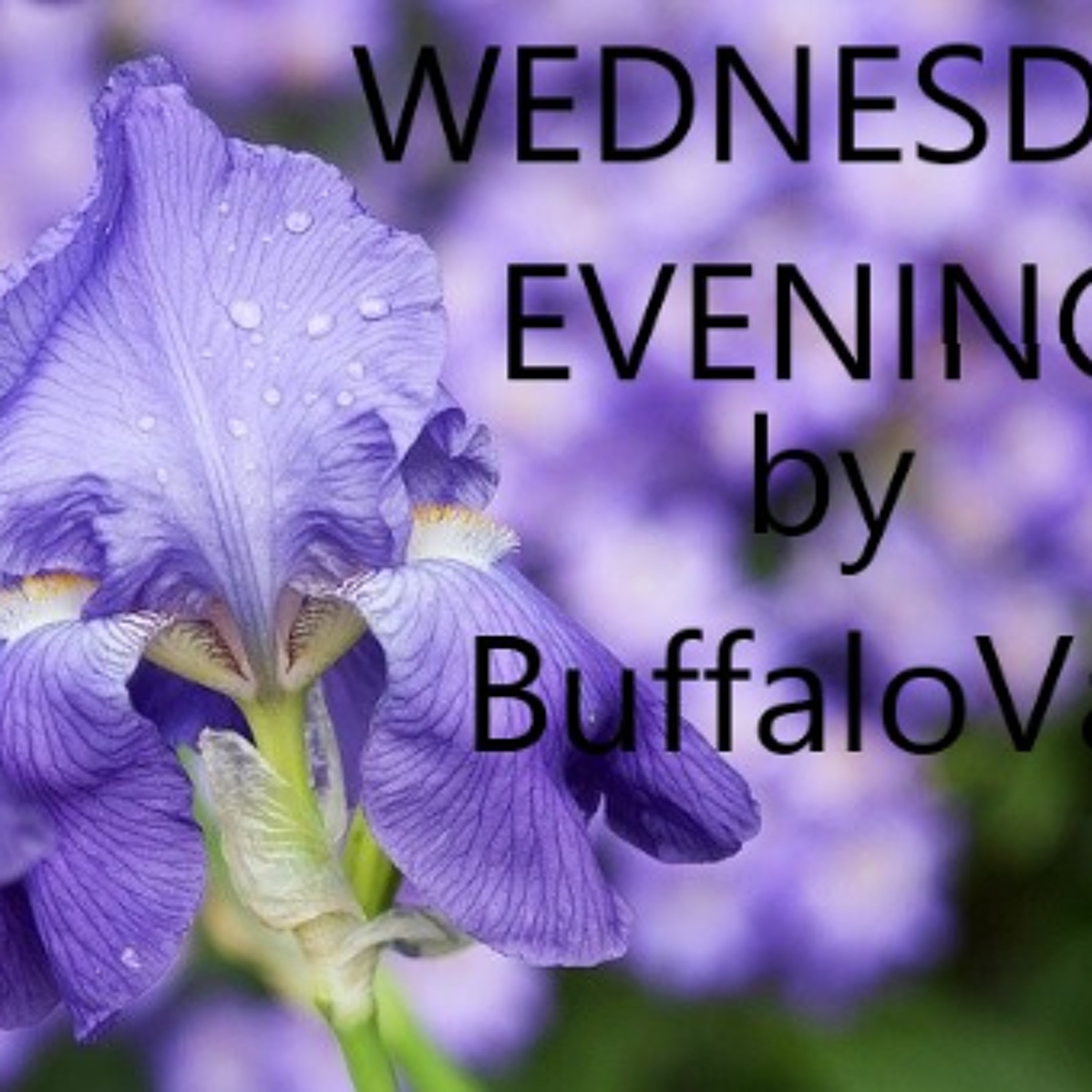 Wednesdaty Evening episode artwork