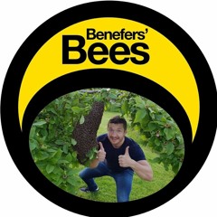 Benefers'bees bee rap
