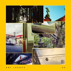 Ant LaRock - Crown Heights