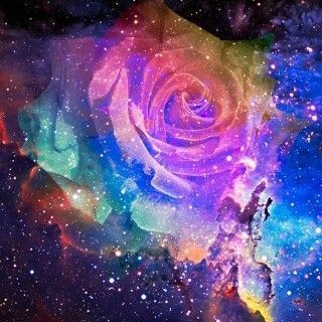 spacerose