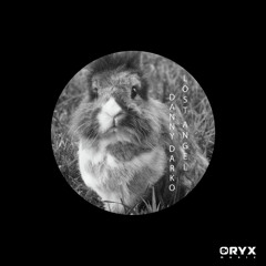 Danny Darko - Lost Angel