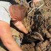 На Одесчине спасают барсука, который застрял в трубе оросительной системы и был парализован На Одесчине спасают барсука, который застрял в трубе оросительной системы и был парализован