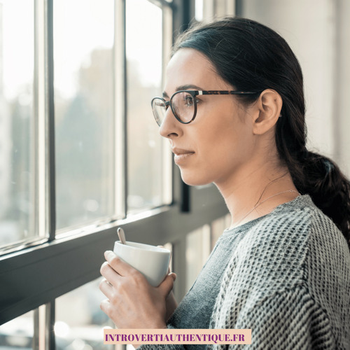 [MIEUX VIVRE SON INTROVERSION] 5. 5 faux préjugés sur les introvertis