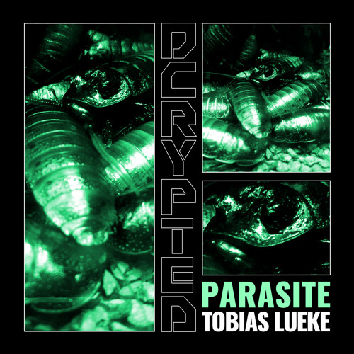 Tobias Lueke - Cycles (Original Mix)