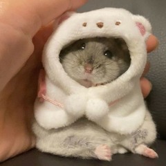 dormi na praça - bruno e marrone