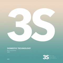 Domestic Technology - Ray of Sunshine (Original Mix)