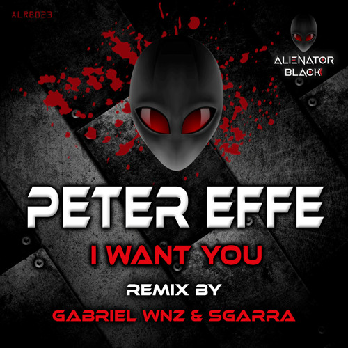 Peter Effe - I Want You (Original Mix)