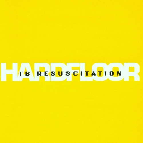 Hardfloor  Lost in the silverbox (1993)