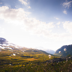 Christian Berg - Ripples