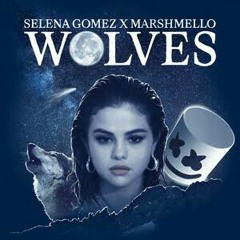 Selena Gomez x Marshmello - Wolves ( Abdelrhman remix )