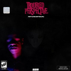 Troubled Perspective W/ Lostboyjay