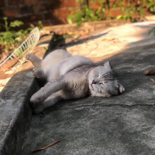 Nhạc tình cảm lãng mạng thời @