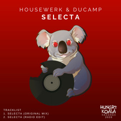 HouseWerk, Ducamp - Selecta (Radio Edit)