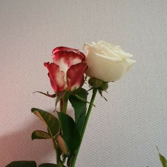 How Deep Is Your Love (Edited - Original on TikTok)