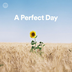 A Perfect Day