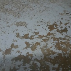 Beach Baby - Bon Iver (cover)