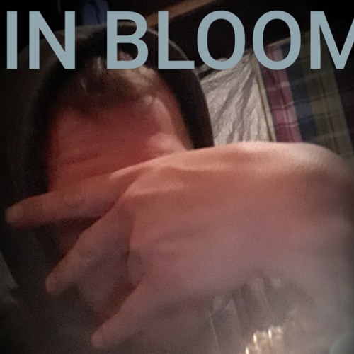 Live Forever (my acoustic version)