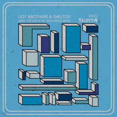 Not Brothers, Shelton - Wave Torture (Original Mix) - SR002 - Preview