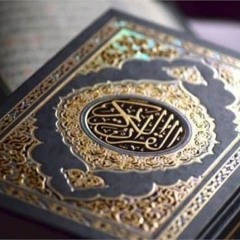 سيريكم آياته فتعرفونها❤️ حمزة بوديب❤️