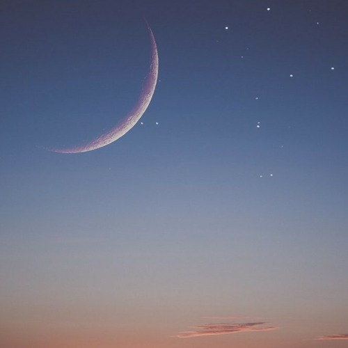 سورة يس - ياسين-للشيخ القارئ منصور السالمي ✨