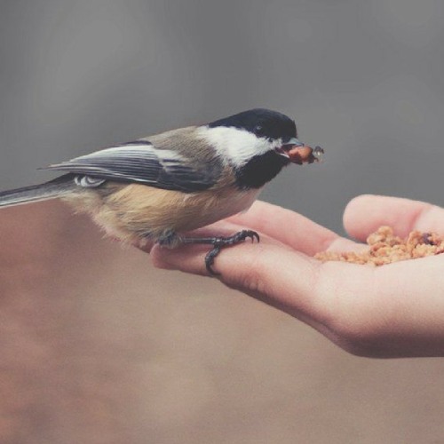 تلاوة مرتلة وهادئة بصوت القارئ اسلام صبحي-سورة النمل ❤️