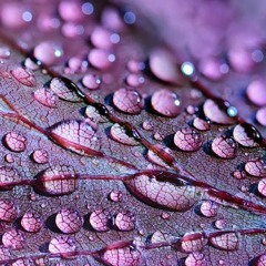 dont cry just look in sky n remembr me no mattr what they say about me I love you n I'm proud of u.