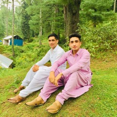 New_Pashto_Songs_2020_|_O_waya_Pacha_Di_Zraa_Belalai_Dai_|_Nosherwan_Ashna_|___نوشیروان_2020(360p).m4a
