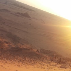 سميرة دنيا_العصر مرورو