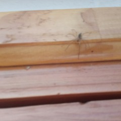 Pista de lunes por la mañana