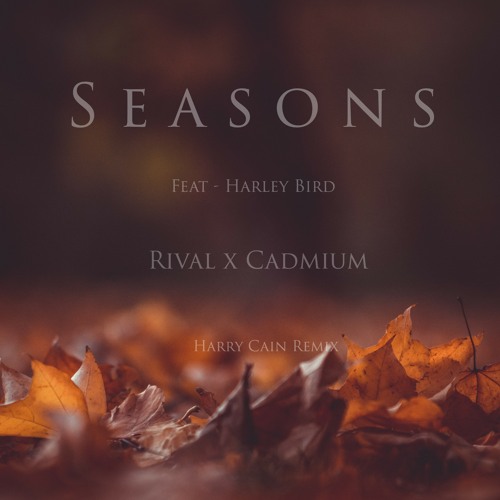 Seasons _ Rival x Cadmium _ feat_ Harley Bird ( Harry Cain Remix )