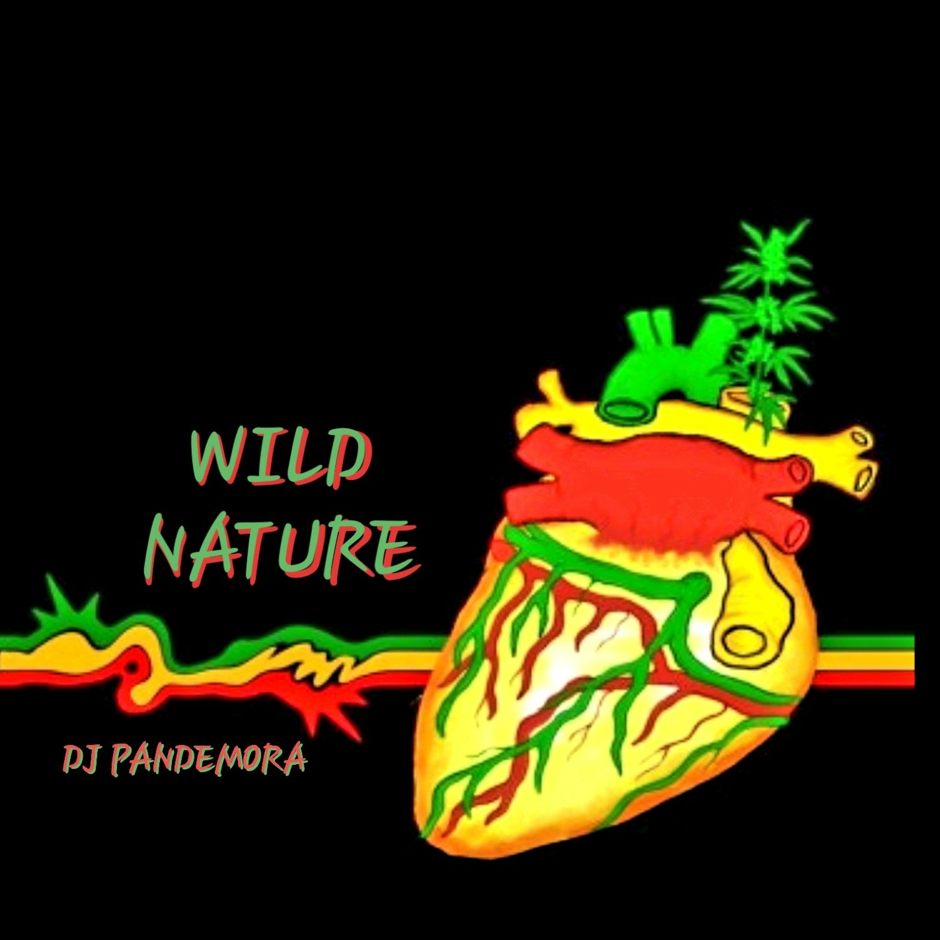 DJ Pandemora