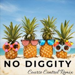 Blackstreet - No Diggity (Course Control Remix) [BDJ TikTok Edit]