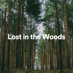 Lost In The Woods