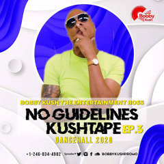 Episode 3 Bobby Kush Presents No Guidelines Dancehall 2020 [sponsor By Apache Cd Dvd}