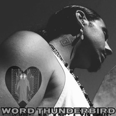 Word Thunderbird