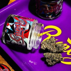 P4KMoneyMir - Fake Runtz