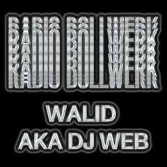 Walid aka Dj Web | Kauz Session - Radio Bollwerk - 11.10.2020