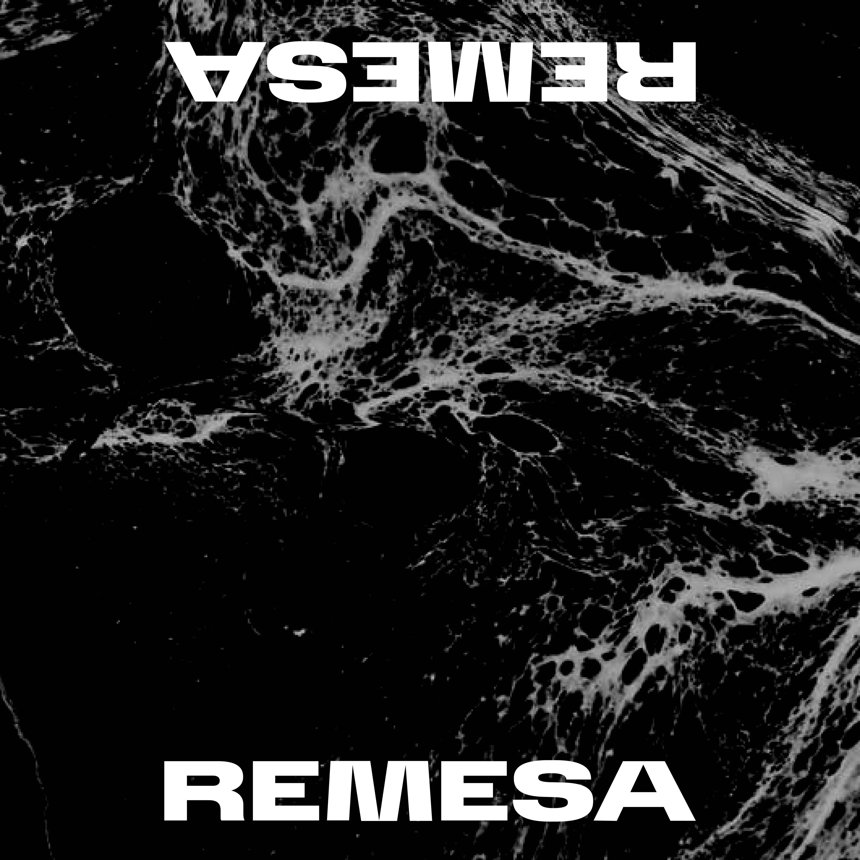 REMESA
