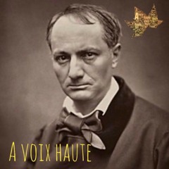 Charles Baudelaire -  les fleurs du Mal - Les chats - Yannick Debain