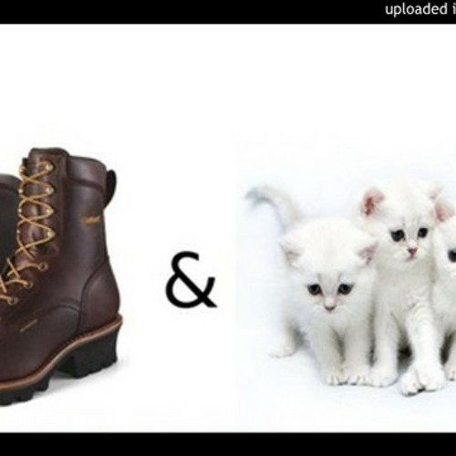 Stream DJ Dale Listen to Boots and Cats playlist online for free on