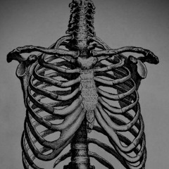 Westendhall - the bones