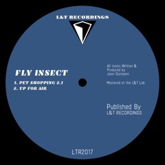 Fly Insect - Up For Air